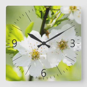 Frühzeit Quadratische Wanduhr