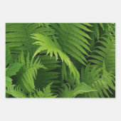 FRÜHZEITIGE GRÜNE FERN FOTO-WRAPPING-PAPIERSHEETS GESCHENKPAPIER SET (Vorderseite 3)