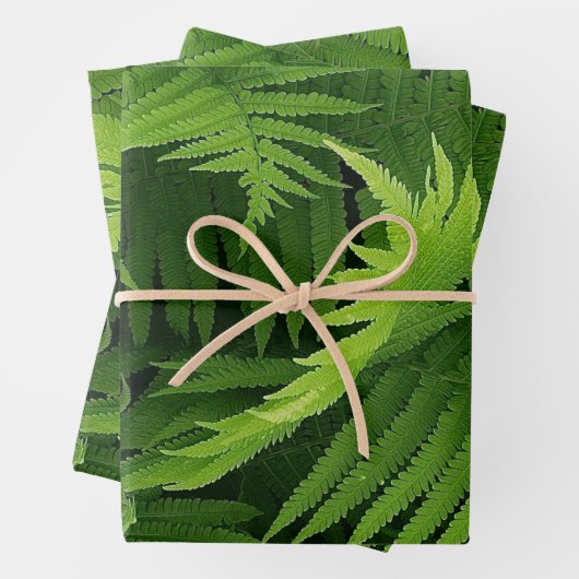 FRÜHZEITIGE GRÜNE FERN FOTO-WRAPPING-PAPIERSHEETS GESCHENKPAPIER SET (Beispiel)
