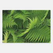 FRÜHZEITIGE GRÜNE FERN FOTO-WRAPPING-PAPIERSHEETS GESCHENKPAPIER SET (Vorderseite)