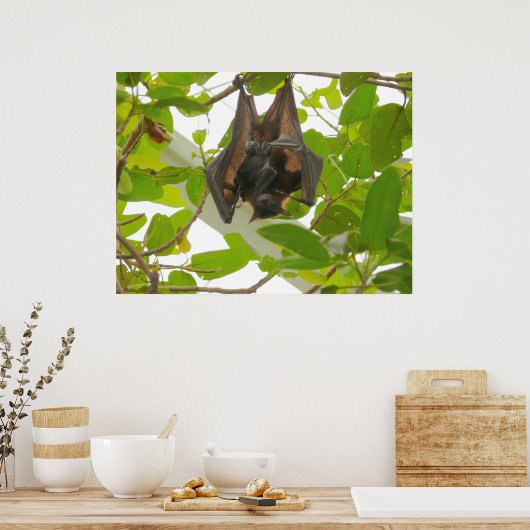 Fruit Bat Poster (Küche)