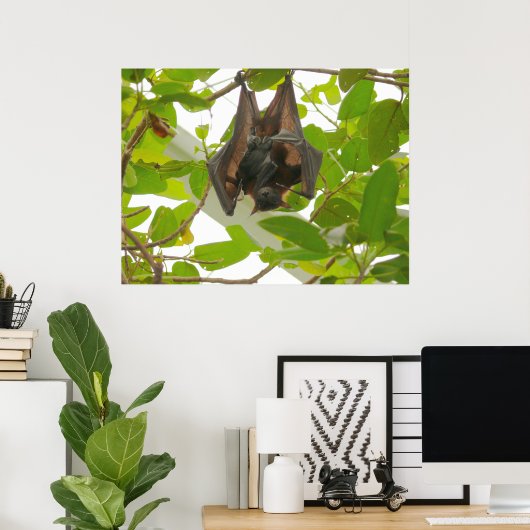 Fruit Bat Poster (Heimbüro)