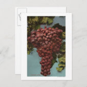 Fruit Chromo Lithograph of California Grapes Postkarte (Vorne/Hinten)