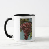 Fruit Chromo Lithograph of California Grapes Tasse (Links)