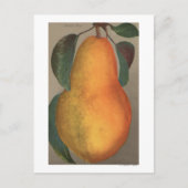 Fruit Chromo Lithograph von Bartlett Pear Postkarte (Vorderseite)