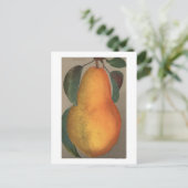 Fruit Chromo Lithograph von Bartlett Pear Postkarte (Stehend Vorderseite)