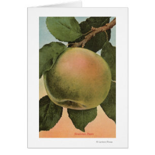 Fruit Chromo Lithograph von Newtown Pippen
