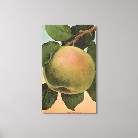 Fruit Chromo Lithograph von Newtown Pippen Leinwanddruck (Vorderseite)