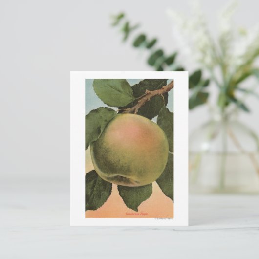 Fruit Chromo Lithograph von Newtown Pippen Postkarte (Stehend Vorderseite)