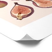 FRUIT WALL ART POSTER (Ecke)