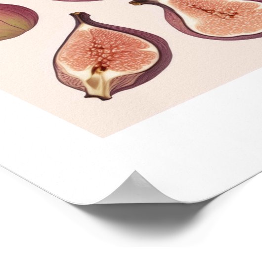 FRUIT WALL ART POSTER (Ecke)