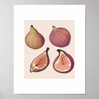 FRUIT WALL ART POSTER