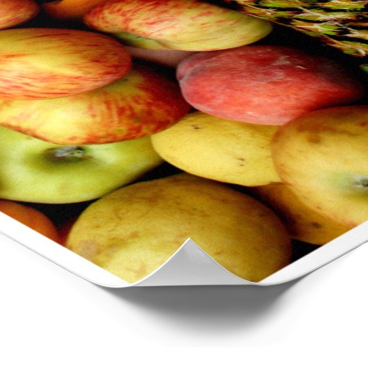 Fruits by Johannes Stötter Poster (Ecke)