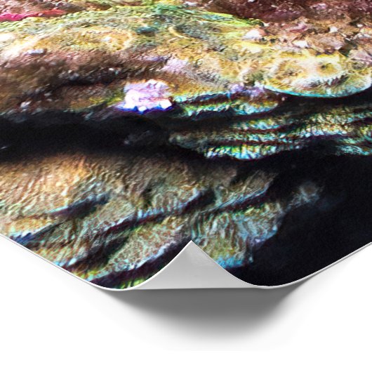 Frumpy Stonefish Poster (Ecke)