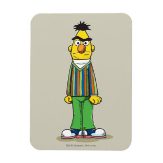 Frustrierter Bert Magnet