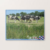 Fryslân Boppe Frisian-Holstein-Kühe in der Wiese Puzzle (Horizontal)