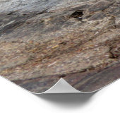 FS1E in Marokko Poster (Ecke)