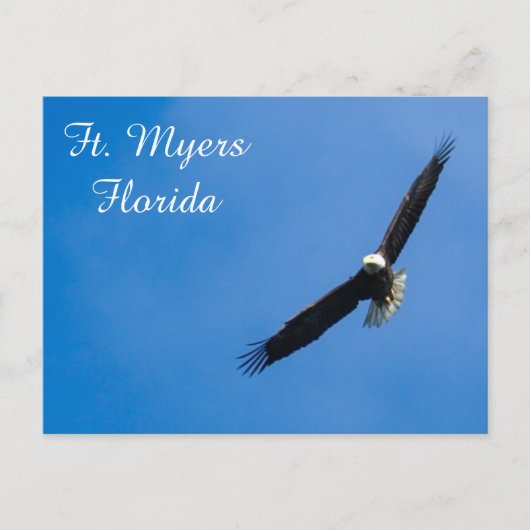 Ft. Myers Bald Eagle Postkarte (Vorderseite)