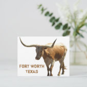 Ft Worth Longhorn Postkarte (Stehend Vorderseite)