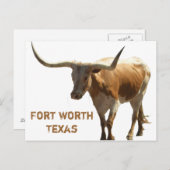 Ft Worth Longhorn Postkarte (Vorne/Hinten)