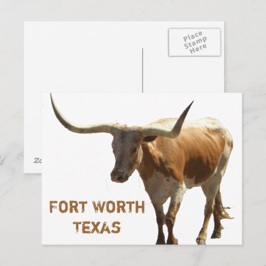 Ft Worth Longhorn Postkarte (Vorne/Hinten)