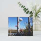 Fubby fantasie, op de vlucht voor een dier. postkarte (Stehend Vorderseite)