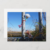 Fubby fantasie, op de vlucht voor een dier. postkarte (Vorne/Hinten)