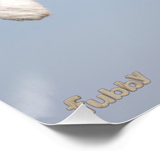 Fubby krachten, Hang in There, I got you Poster (Ecke)