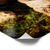 Fubby monster op de schommel. poster (Ecke)