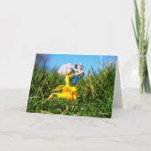 Fubby poppetjes die dansen in het gras. dankeskarte (Vorderseite)