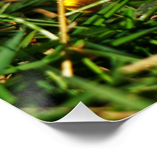 Fubby poppetjes die dansen met Narcissenjurk. Poster (Ecke)