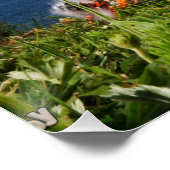 Fubby's actief met het hengelspel. poster (Ecke)