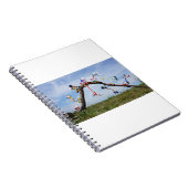 Fubby's die aan het Skaten zijn. Notizblock (Rechte Seite)