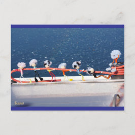 Fubby's die een lijn lieren van een Zeilboot. Postkarte