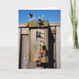 Fubby's die een vogelhuis beklimmen. karte