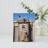 Fubby's die een vogelhuis beklimmen. postkarte (Stehend Vorderseite)