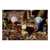 Fubby's die hout zagen. poster (Vorderseite)