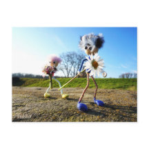 Fubby's in natuur met madeliefjes.