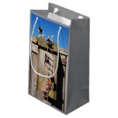 Fubby's in vogelhuisje met touwladder. kleine geschenktüte (Rückseite Schrägansicht)