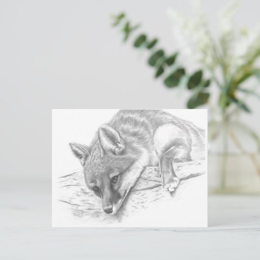 Fuchs 59 postkarte (Stehend Vorderseite)