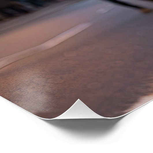 Fuchs am Times Square Poster (Ecke)