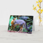 FUCHS AUF BAUM KARTE (Gelbe Blume)