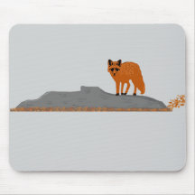 🦊 Fuchs auf dem Felsen