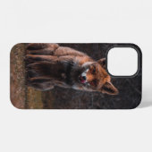 FUCHS AUF GRÜNFLÄCHE iPhone HÜLLE (Rückseite (Horizontal))