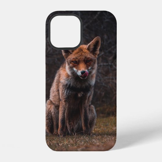 FUCHS AUF GRÜNFLÄCHE iPhone HÜLLE (Rückseite)