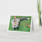 Fuchs auf Rasen Karte (Vorderseite)