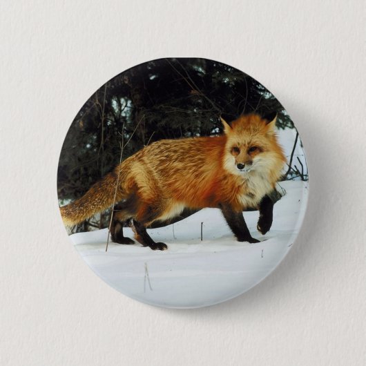 Fuchs Button (Vorderseite)