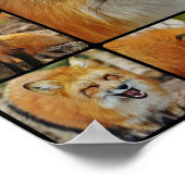 Fuchs Collage Poster (Ecke)
