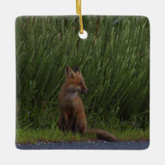 Fuchs-Foto-Ornament Keramikornament (Vorderseite)