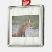 Fuchs-Foto-Ornament Ornament Aus Metall (Links)